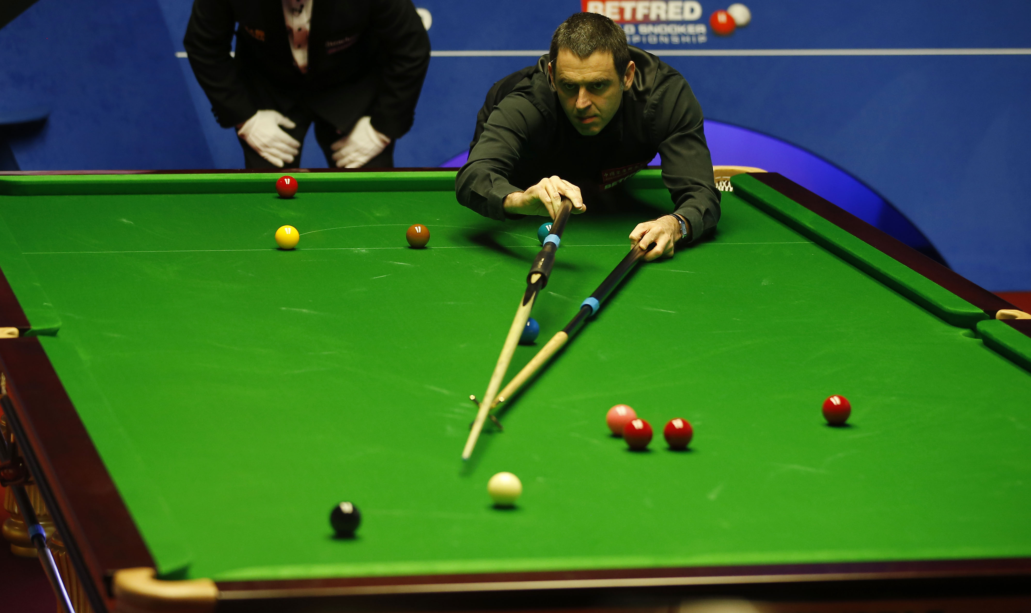 是一个颇具 是一个颇具