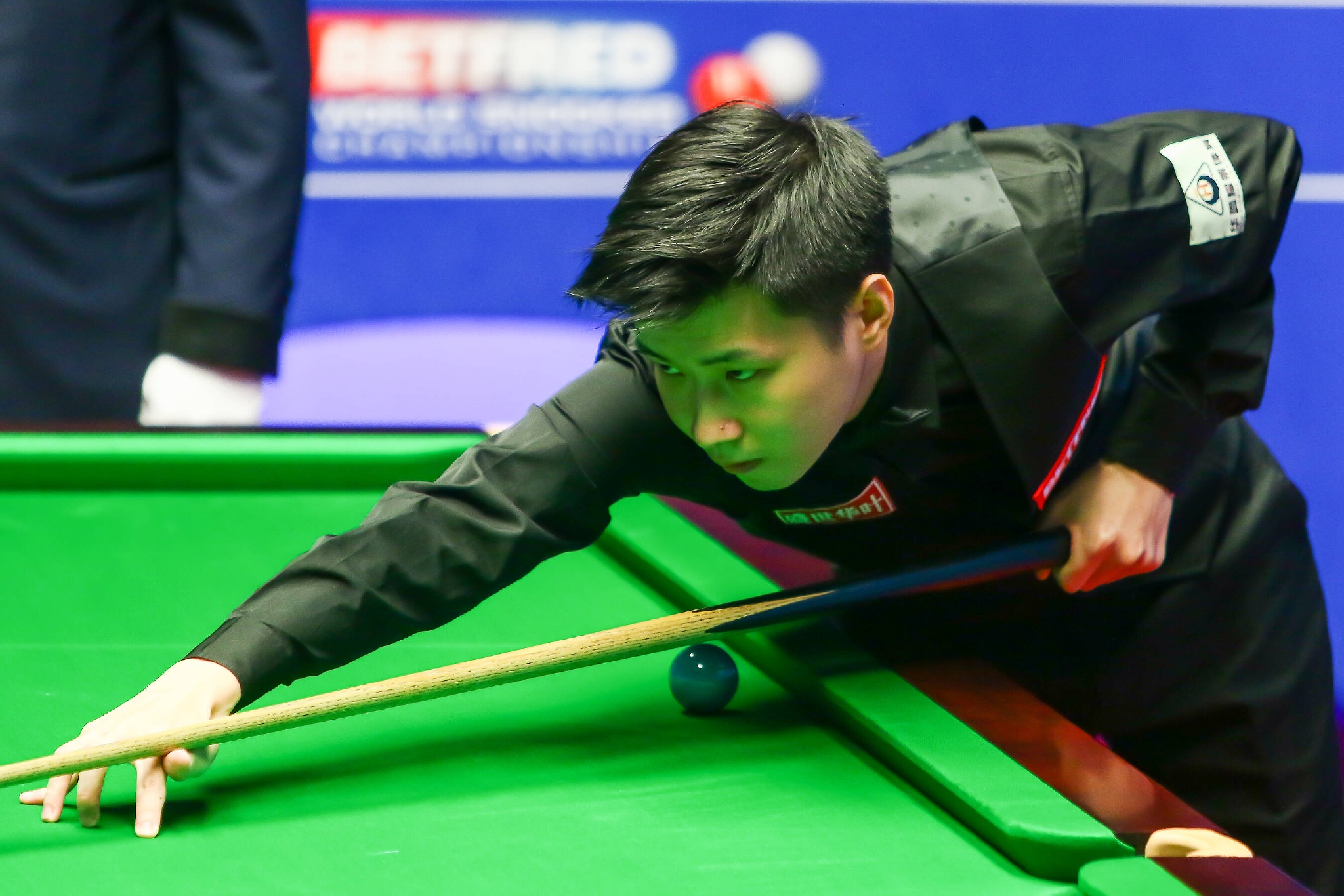 也为辽篮的 也为辽篮的